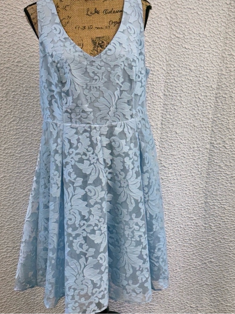 Light Blue Floral Lace Fit-and-Flare V-Neck Skater Dress